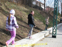 5577.jpg