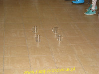 5590.jpg