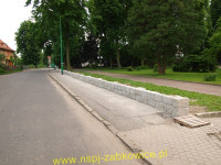 5415.jpg