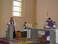 4230.jpg