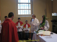 3791.jpg