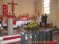 4374.jpg