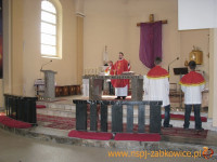 4445.jpg