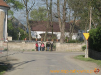 3156.jpg