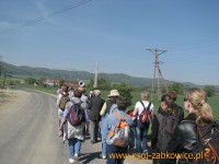 3163.jpg