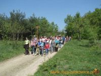 3173.jpg