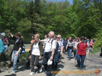 3175.jpg