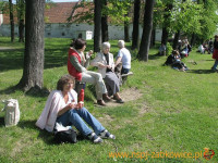 3170.jpg
