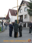 3256.jpg