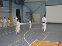 3124.jpg