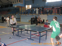 3136.jpg