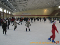2878.jpg