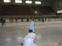 2790.jpg