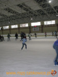 2825.jpg
