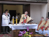 2954.jpg
