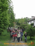 2375.jpg