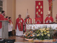 2315.jpg