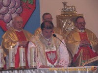 1462.jpg