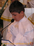 1197.jpg