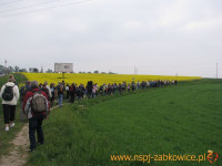 1067.jpg
