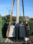 594.jpg