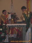 196.jpg