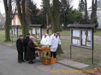 77.jpg